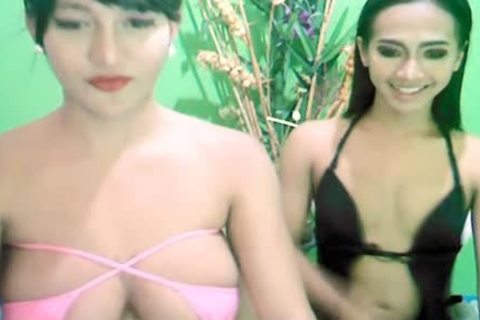 Two dirty asian shemale loves To fuck Each Other