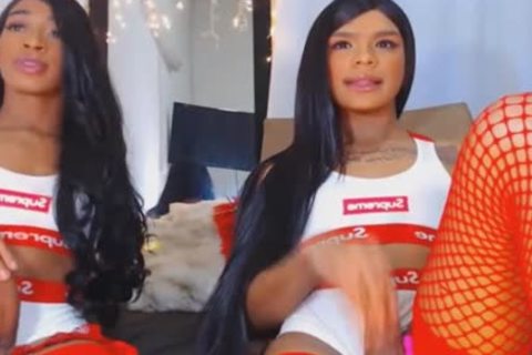 Twin tranny Giving Each Other A juicy cook jerking