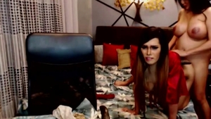 Two lustful shemale Playfully plow Each Other